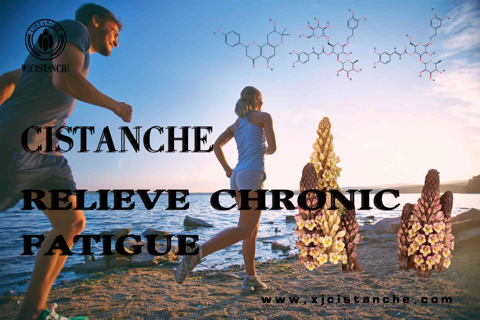 adrenal fatigue (2)