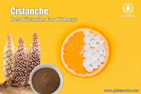 top quality of cistanche with 25% echinacoside 50% echinacoside top quality of cistanche with 25% echinacoside 50% echinacoside