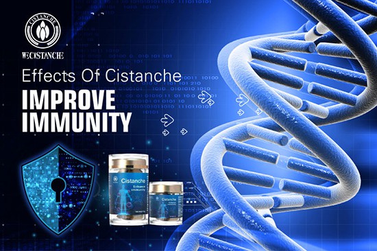 Desert ginseng—Improve immunity (2)