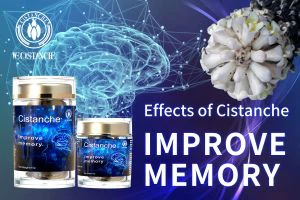 ways to improve your memory