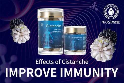 Desert ginseng-Improve immunity (12)