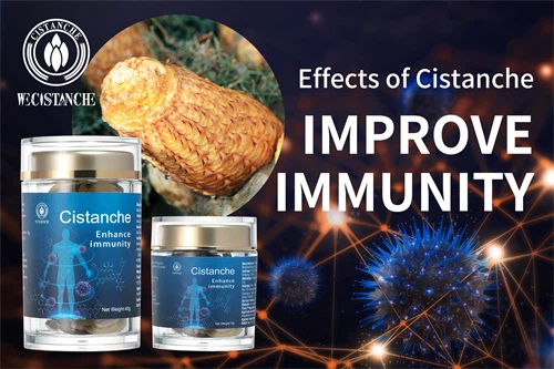 Desert ginseng—Improve immunity (10)