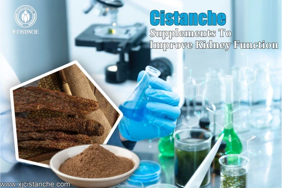 CISTANCHE EXTRACT WITH 25% ECHINACOSIDE AND 9% ACTEOSIDE CISTANCHE EXTRACT WITH 25% ECHINACOSIDE AND 9% ACTEOSIDE