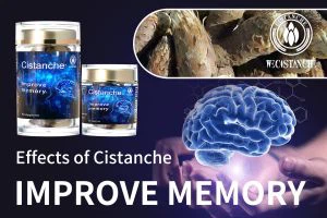 increase brain power increase brain power