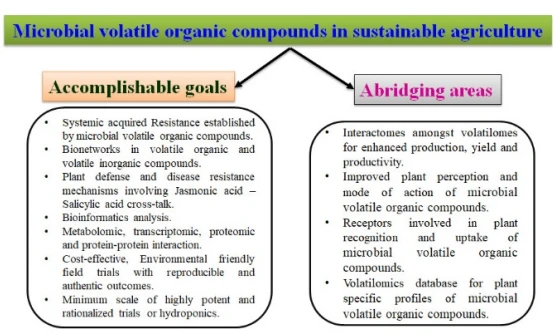 Figure 2. Goals and abridging areas of sustainable agriculture. Figure 2. Goals and abridging areas of sustainable agriculture.