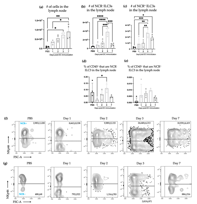 Figure 1. The number of natural cytotoxicity receptors (NCR)+ and NCR− type 3 innate lymphoid cells (ILC3s) increased in the local draining lymph node after DC immunization. Female C57BL/6 mice were inoculated with DC vaccines via hind footpad injections. Popliteal lymph nodes were examined for ILC3 populations. (a) The total number of cells in the lymph node was determined. Accumulation of (b) NCR− ILC3s and (c) NCR+ ILC3s in the lymph node and the percentage of CD45+ cells in the lymph node that were (d) NCR− ILC3s and (e) NCR+ ILC3s. Each bar represents data from four popliteal lymph nodes. A Student’s t-test was used at each time point to determine significant differences between the control mice inoculated with phosphate-buffered saline (PBS) and the mice inoculated with the DC vaccine (p-values * < 0.05, ** < 0.005, *** < 0.0005, and **** < 0.0001). Representative dot plots showing the average number of (f) NCR− ILC3s and (g) NCR+ ILC3s in the draining popliteal lymph node. The graphs display the mean with the standard deviation. Figure 1. The number of natural cytotoxicity receptors (NCR)+ and NCR− type 3 innate lymphoid cells (ILC3s) increased in the local draining lymph node after DC immunization. Female C57BL/6 mice were inoculated with DC vaccines via hind footpad injections. Popliteal lymph nodes were examined for ILC3 populations. (a) The total number of cells in the lymph node was determined. Accumulation of (b) NCR− ILC3s and (c) NCR+ ILC3s in the lymph node and the percentage of CD45+ cells in the lymph node that were (d) NCR− ILC3s and (e) NCR+ ILC3s. Each bar represents data from four popliteal lymph nodes. A Student’s t-test was used at each time point to determine significant differences between the control mice inoculated with phosphate-buffered saline (PBS) and the mice inoculated with the DC vaccine (p-values * < 0.05, ** < 0.005, *** < 0.0005, and **** < 0.0001). Representative dot plots showing the average number of (f) NCR− ILC3s and (g) NCR+ ILC3s in the draining popliteal lymph node. The graphs display the mean with the standard deviation.