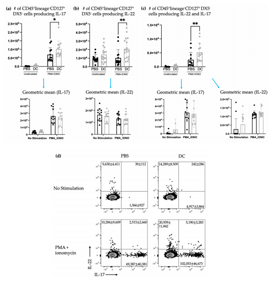 Figure 3. There was an increase in splenic ILC3s producing IL-17 and IL-22 following DC immunization. Female C57BL/6 mice (n = 12–18) were inoculated with DC vaccines via hind footpad injection. The control mice were treated with phosphate-buffered saline (PBS). One week after immunization, spleens were harvested and examined for IL-17- and IL-22-producing ILCs. The number of lineage−CD127+DX5− cells producing (a) IL-17, (b) IL-22, and (c) both IL-17 and IL-22 and their corresponding geometric mean fluorescent intensities were determined using intracellular cytokine staining and flow cytometry. Data were analyzed using a two-way ANOVA test (p-values * < 0.05, ** < 0.005). (d) Representative dot plots show the average number of splenic CD45+ lineage−CD127+DX5− cells producing IL-17 and/or IL-22. The graphs display the mean with the standard deviation. Figure 3. There was an increase in splenic ILC3s producing IL-17 and IL-22 following DC immunization. Female C57BL/6 mice (n = 12–18) were inoculated with DC vaccines via hind footpad injection. The control mice were treated with phosphate-buffered saline (PBS). One week after immunization, spleens were harvested and examined for IL-17- and IL-22-producing ILCs. The number of lineage−CD127+DX5− cells producing (a) IL-17, (b) IL-22, and (c) both IL-17 and IL-22 and their corresponding geometric mean fluorescent intensities were determined using intracellular cytokine staining and flow cytometry. Data were analyzed using a two-way ANOVA test (p-values * < 0.05, ** < 0.005). (d) Representative dot plots show the average number of splenic CD45+ lineage−CD127+DX5− cells producing IL-17 and/or IL-22. The graphs display the mean with the standard deviation.