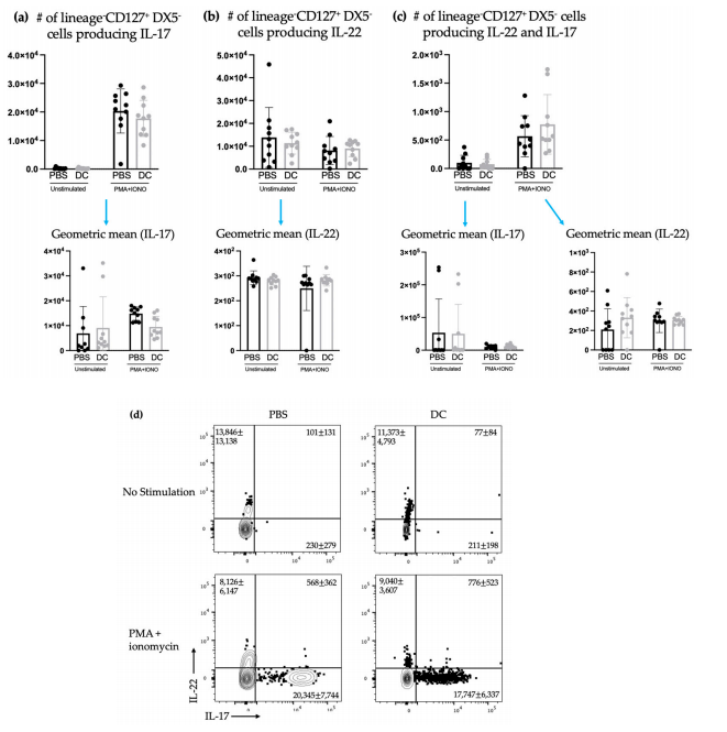 Figure 5. There was no change in the number of splenic IL-17 and/or IL-22-producing ILCs after DC vaccination and challenge with B16F10 melanoma cells. Female C57BL/6 mice (n = 10) were inoculated with DC vaccines via hind footpad injection and one week later, 3 × 105 B16F10 cells were administered intravenously. Three days later, spleens were harvested and examined for ILC3 cytokine production. The number of lineage CD127+DX5- cells producing (a) IL-17, (b) IL-22, and (c) both IL-17 and IL-22 and their corresponding geometric mean fluorescent intensities were determined using intracellular cytokine staining and flow cytometry. Data were analyzed using a two-way ANOVA test and no significant difference between the DC-vaccinated mice and the phosphate-buffered saline (PBS)-treated controls was detected. (d) Representative dot plots show the average number of splenic CD45+lineage CD127+DX5- cells producing IL-17 and/or IL-22. Figure 5. There was no change in the number of splenic IL-17 and/or IL-22-producing ILCs after DC vaccination and challenge with B16F10 melanoma cells. Female C57BL/6 mice (n = 10) were inoculated with DC vaccines via hind footpad injection and one week later, 3 × 105 B16F10 cells were administered intravenously. Three days later, spleens were harvested and examined for ILC3 cytokine production. The number of lineage CD127+DX5- cells producing (a) IL-17, (b) IL-22, and (c) both IL-17 and IL-22 and their corresponding geometric mean fluorescent intensities were determined using intracellular cytokine staining and flow cytometry. Data were analyzed using a two-way ANOVA test and no significant difference between the DC-vaccinated mice and the phosphate-buffered saline (PBS)-treated controls was detected. (d) Representative dot plots show the average number of splenic CD45+lineage CD127+DX5- cells producing IL-17 and/or IL-22.
