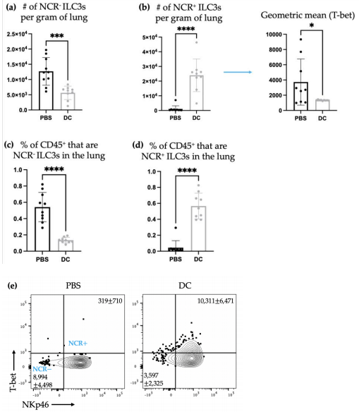 Figure 6. Following DC immunization and challenge with B16F10 cells, there were numerical changes in ILC3 subpopulations in the lungs. Female C57BL/6 mice (n = 10) received DC vaccines via hind footpad injection and one week later, 3 × 105 B16F10 cells were administered intravenously. Three days post-challenge, the lungs were examined using flow cytometry for the number of (a) NCR− ILC3s and (b) NCR+ ILC3s (and the geometric mean fluorescent intensity of T-bet for NCR+ ILC3s) and the percentage of CD45+ cells that were (c) NCR− ILC3s and (d) NCR+ ILC3s. A Student’s t-test was used to determine the significance between the subpopulations in the control mice treated with phosphate-buffered saline (PBS) and the DC-inoculated mice (p-values * <0.05, *** <0.0005, and **** < 0.0001). Representative dot plots showing the average number of pulmonary (e) NCR− ILC3s and NCR+ ILC3s. The graphs display the mean with the standard deviation. Figure 6. Following DC immunization and challenge with B16F10 cells, there were numerical changes in ILC3 subpopulations in the lungs. Female C57BL/6 mice (n = 10) received DC vaccines via hind footpad injection and one week later, 3 × 105 B16F10 cells were administered intravenously. Three days post-challenge, the lungs were examined using flow cytometry for the number of (a) NCR− ILC3s and (b) NCR+ ILC3s (and the geometric mean fluorescent intensity of T-bet for NCR+ ILC3s) and the percentage of CD45+ cells that were (c) NCR− ILC3s and (d) NCR+ ILC3s. A Student’s t-test was used to determine the significance between the subpopulations in the control mice treated with phosphate-buffered saline (PBS) and the DC-inoculated mice (p-values * <0.05, *** <0.0005, and **** < 0.0001). Representative dot plots showing the average number of pulmonary (e) NCR− ILC3s and NCR+ ILC3s. The graphs display the mean with the standard deviation.