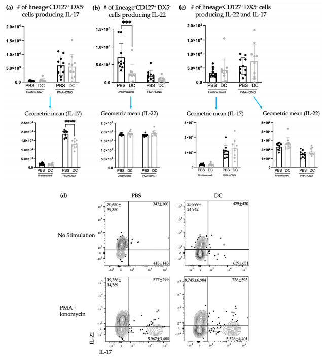 Figure 7. There was no change in the number of ILC3s producing IL-17 and/or IL-22 in the lungs after DC vaccination and challenge with B16F10 melanoma cells. Female C57BL/6 mice (n = 10) were inoculated with DC vaccines via hind footpad injection and one week later, they were intravenously administered with 3 × 105 B16F10 cells. Three days later, the lungs were harvested and examined for ILC3-mediated cytokine production. The number of lineage−CD127+DX5− cells producing (a) IL-17, (b) IL-22, and (c) both IL-17 and IL-22 and their corresponding geometric mean fluorescent intensities were determined using intracellular cytokine staining and flow cytometry. Data were analyzed using a two-way ANOVA test (p-values *** < 0.0005). There was no significant difference in the total number of IL-22-producing, IL-17-producing, and IL-22 and IL-17 multi-cytokine-producing lineage−CD127+DX5− cells. (d) Representative dot plots showing the average number of pulmonary CD45+ lineage−CD127+DX5− cells producing IL-17 and/or IL-22. The standard deviation and mean are represented by the graph bars and error bars. Figure 7. There was no change in the number of ILC3s producing IL-17 and/or IL-22 in the lungs after DC vaccination and challenge with B16F10 melanoma cells. Female C57BL/6 mice (n = 10) were inoculated with DC vaccines via hind footpad injection and one week later, they were intravenously administered with 3 × 105 B16F10 cells. Three days later, the lungs were harvested and examined for ILC3-mediated cytokine production. The number of lineage−CD127+DX5− cells producing (a) IL-17, (b) IL-22, and (c) both IL-17 and IL-22 and their corresponding geometric mean fluorescent intensities were determined using intracellular cytokine staining and flow cytometry. Data were analyzed using a two-way ANOVA test (p-values *** < 0.0005). There was no significant difference in the total number of IL-22-producing, IL-17-producing, and IL-22 and IL-17 multi-cytokine-producing lineage−CD127+DX5− cells. (d) Representative dot plots showing the average number of pulmonary CD45+ lineage−CD127+DX5− cells producing IL-17 and/or IL-22. The standard deviation and mean are represented by the graph bars and error bars.