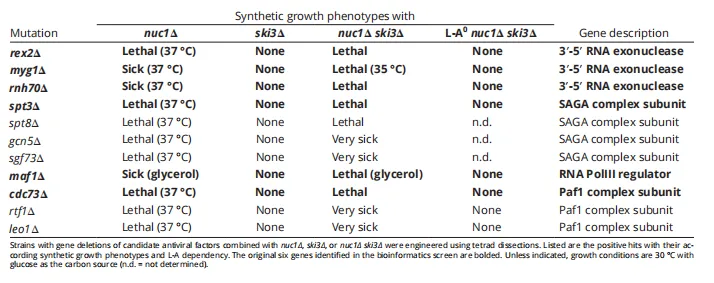 Table 1. Identification of new candidate antiviral factors using a bioinformatic approach