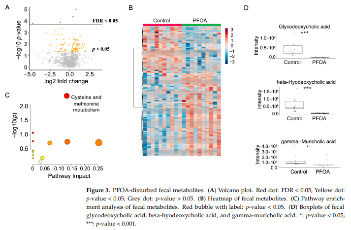 home remedies for constipation