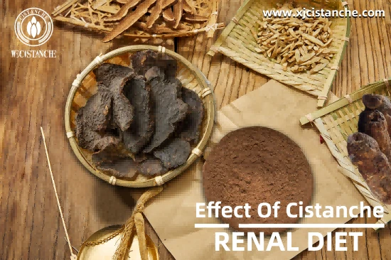 ORGANIC CISTANCHE EXTRACT WITH 25% ECHINACOSIDE AND 9% ACTEOSIDE ORGANIC CISTANCHE EXTRACT WITH 25% ECHINACOSIDE AND 9% ACTEOSIDE