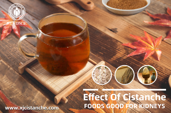 CISTANCHE EXTRACT WITH 25% ECHINACOSIDE AND 9% ACTEOSIDE FOR KIDNEY