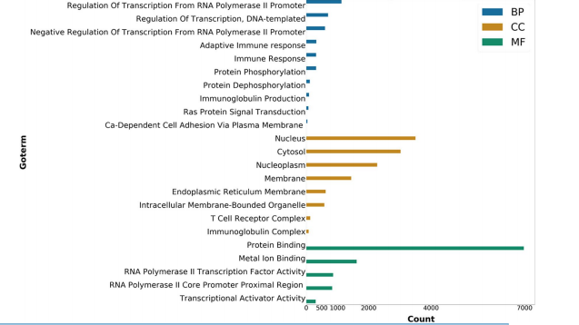 Fig. 3 DAVID functional Gene Ontology (GO) analysis of biological process (BP), cellular component (CC), and molecular function (MF) Fig. 3 DAVID functional Gene Ontology (GO) analysis of biological process (BP), cellular component (CC), and molecular function (MF)