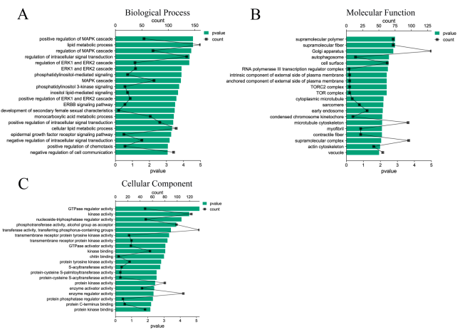 Figure 4. GO function enrichment analysis of DE miRNAs target genes. (A) Biological process of DE miRNAs target genes; (B) molecular functions of DE miRNAs target genes; (C) cellular components of DE miRNAs target genes