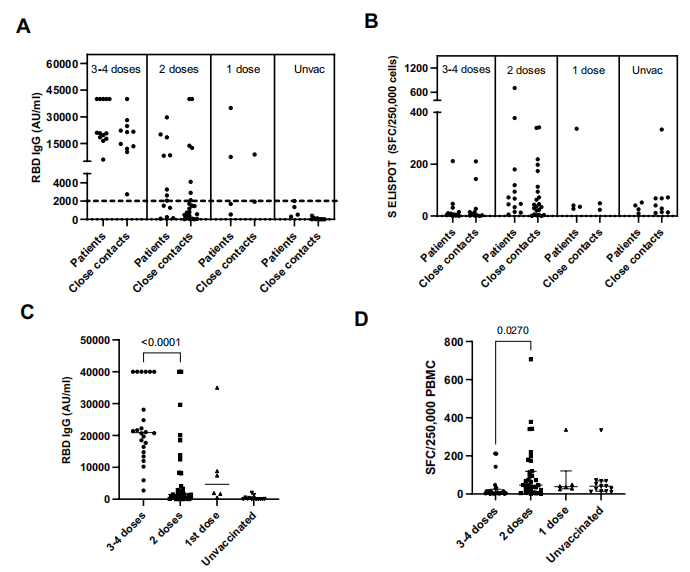 Figure 4. The antibody response (A) and T-cell response (B) against SARS-CoV-2 in patients (previous infection) and close contacts (noninfection) were stratified by the number of vaccine doses. There were no significant differences in the antibody response or T-cell response between patients and close contacts stratified by the number of vaccine doses. The antibody response against SARS-CoV-2 in patients and close contacts increased in a dose-dependent manner according to the number of vaccine doses. There was a significant difference in RBD IgG levels between those who received 2 doses vs. 3–4 doses (P<0.0001, t=5.682, df=57) (C). The T-cell response against the spike protein (S ELISPOT) significantly decreased after the booster dose of the vaccine, P=0.027, t=1.961, df=46 (D).
