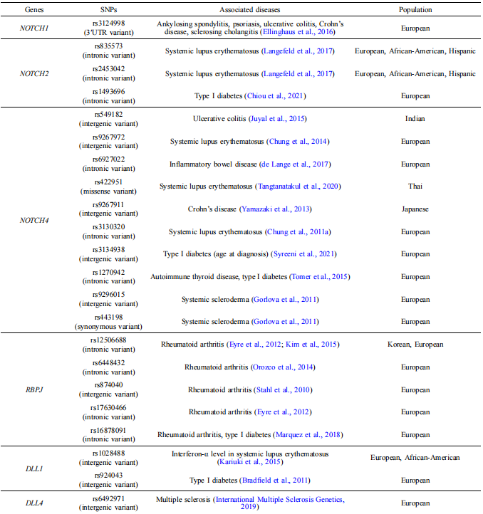 Table 1 Summary of Notch receptors, ligands and RBPJ-related risk alleles identified by GWAS studies in autoimmune diseases