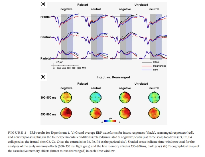 improving brain function improving brain function