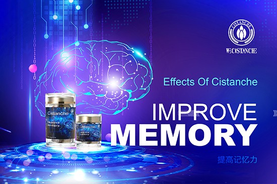 cistanche-Improve memory5 cistanche-Improve memory5