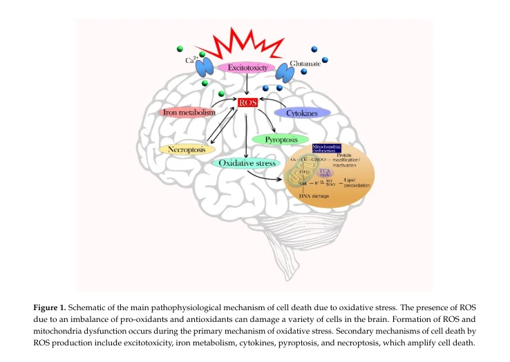 ways to improve your memory ways to improve your memory