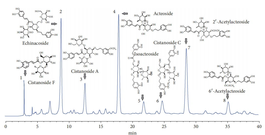 CISTANCHE FOR Bone GROWTH CISTANCHE FOR Bone GROWTH
