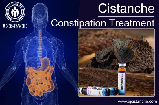 cistanche for inflammatory bowel (10) cistanche for inflammatory bowel (10)