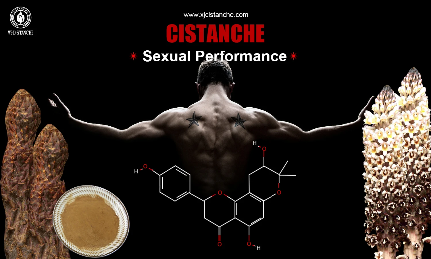 Cistanche extract for improving sexual function Cistanche extract for improving sexual function