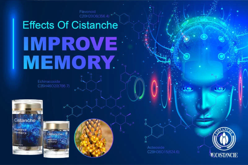 cistanche tubulosa for improving memory cistanche tubulosa for improving memory