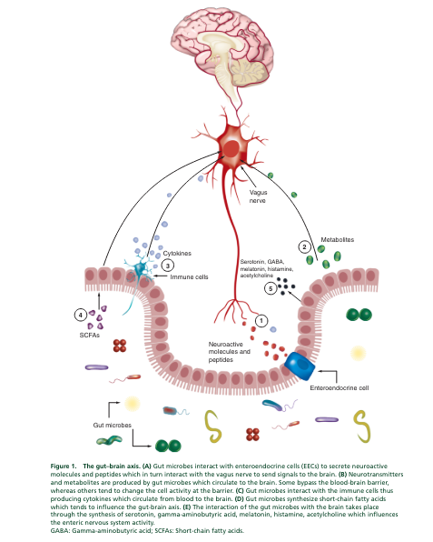 supplements to boost memory