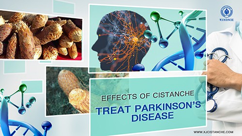 Chinese herb cistanche-Anti Parkinson's disease (5)