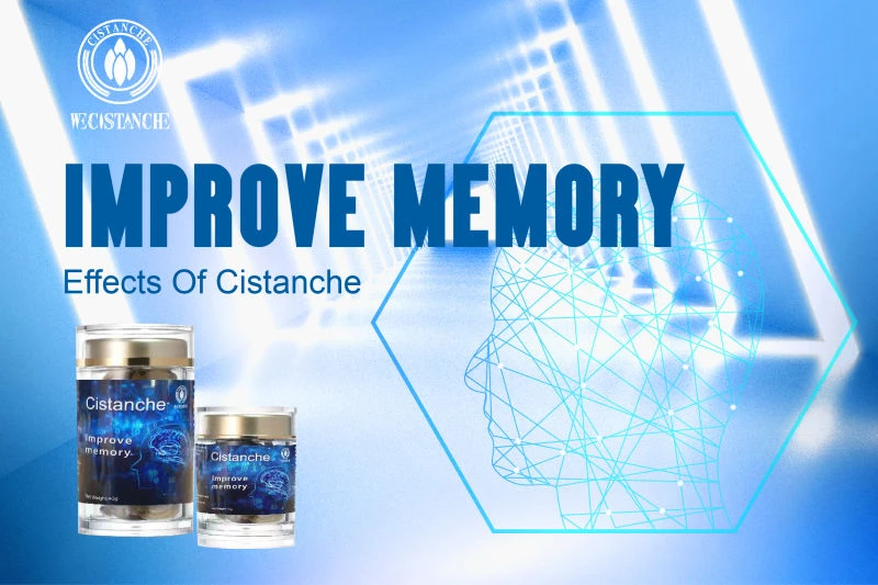 cistanche tubulosa for enhancing memory and immunity cistanche tubulosa for enhancing memory and immunity