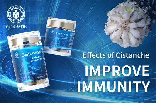 cistanche tubulosa for improving immunity cistanche tubulosa for improving immunity
