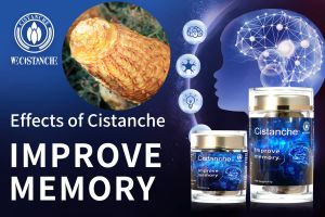 increase memory power increase memory power