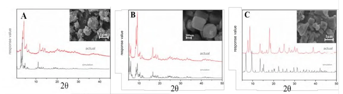 CISTANCHE WITH HIGH CONTENT OF FLAVONOID CISTANCHE WITH HIGH CONTENT OF FLAVONOID