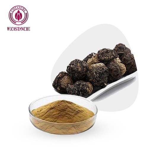 Black Maca Root Extract Powder
