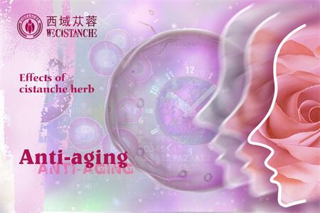 Cistanche benefits for the women Cistanche benefits for the women