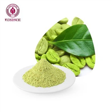 Chlorogenic Acid Powder