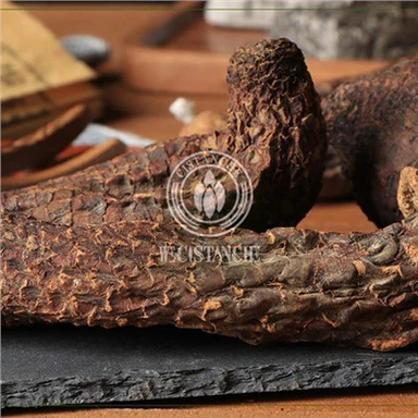 Cistanche For Improve Sexual Function