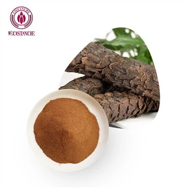 Cistanche for Testosterone