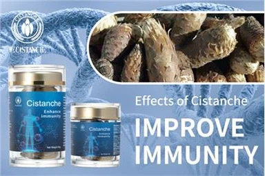 Cistanche Supplement To Boost Immune System