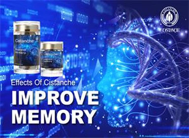 Cistanche Supplements Enhance Memory and prevent Parkinson Disease