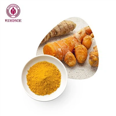 Curcumin 95 Powder