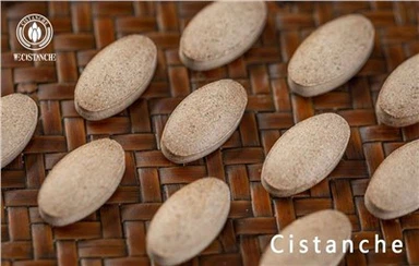 Enhnche Memory Funciton Cistanche Tubulosa Supplement