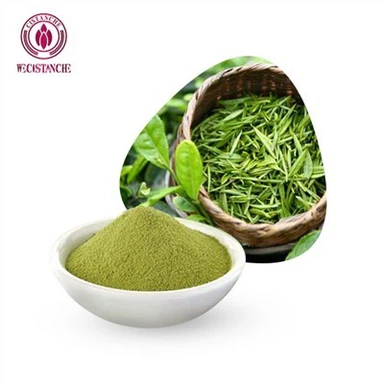 Green Tea Extract