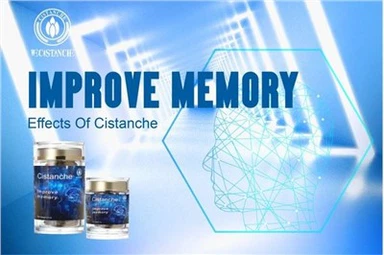 Improve Memory ,Cistanche Tubulosa Supplement Effects