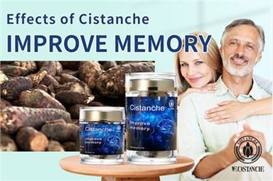 Improve memory and prevent Alzheimer’s Disease rely on it! Desert ginseng Cistanche