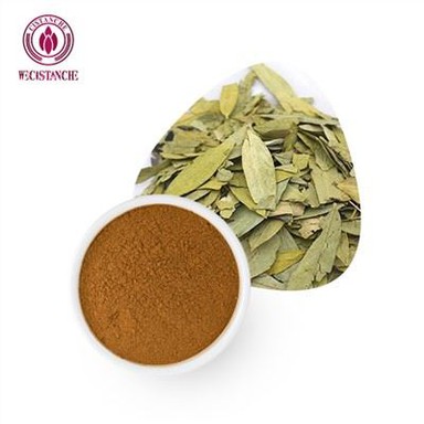 Senna Leaf Extract Powder