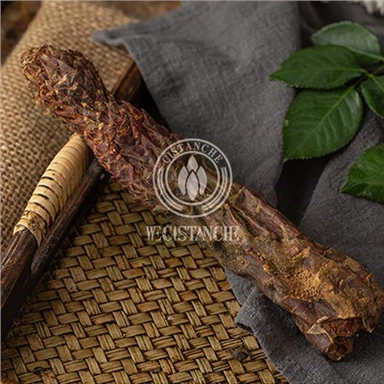 Tonify Kidney Cistanche