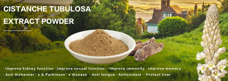 cistanche tubulosa benefits and side effects cistanche tubulosa benefits and side effects